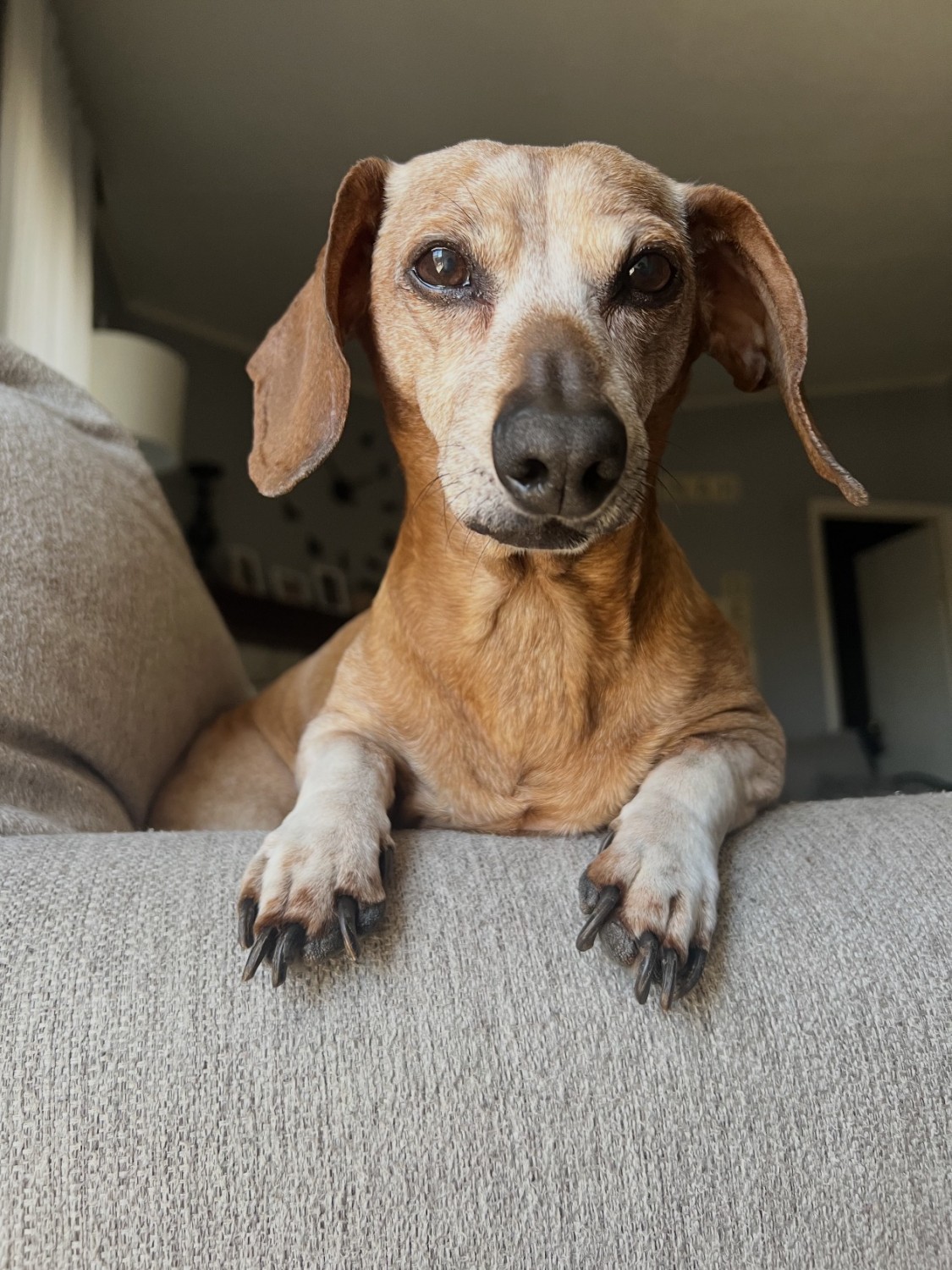 Charlie