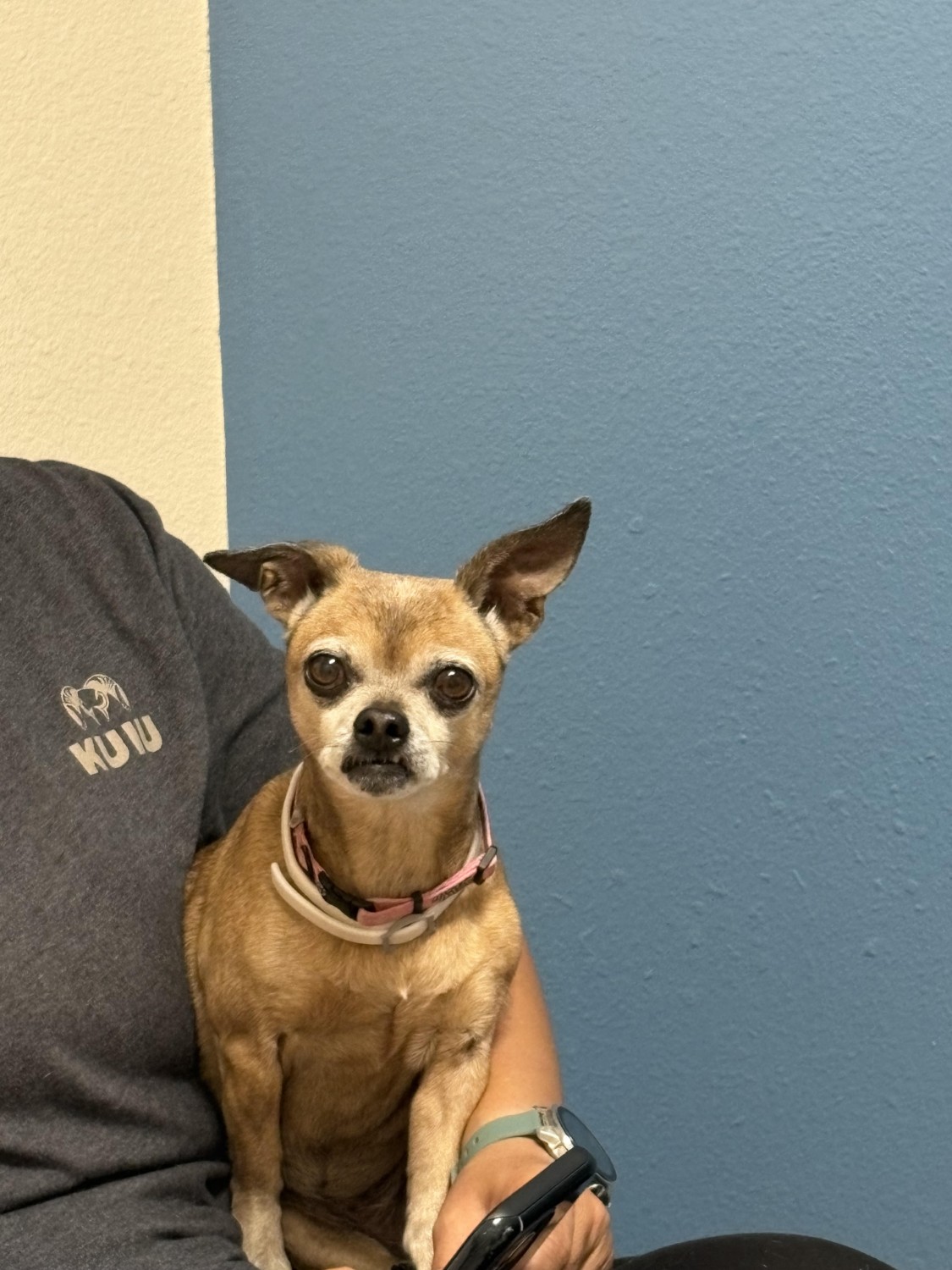 Chloe - 6/8/26
