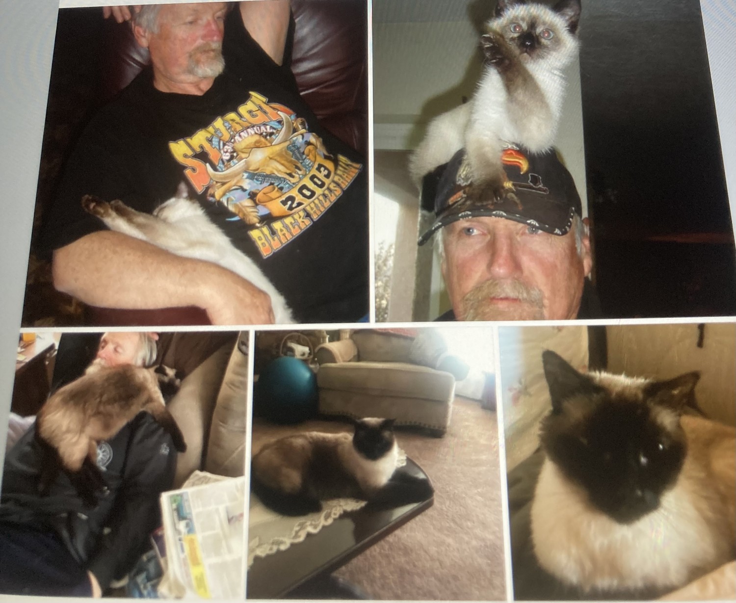 Isabella (11/10/10 - 7/31/25)