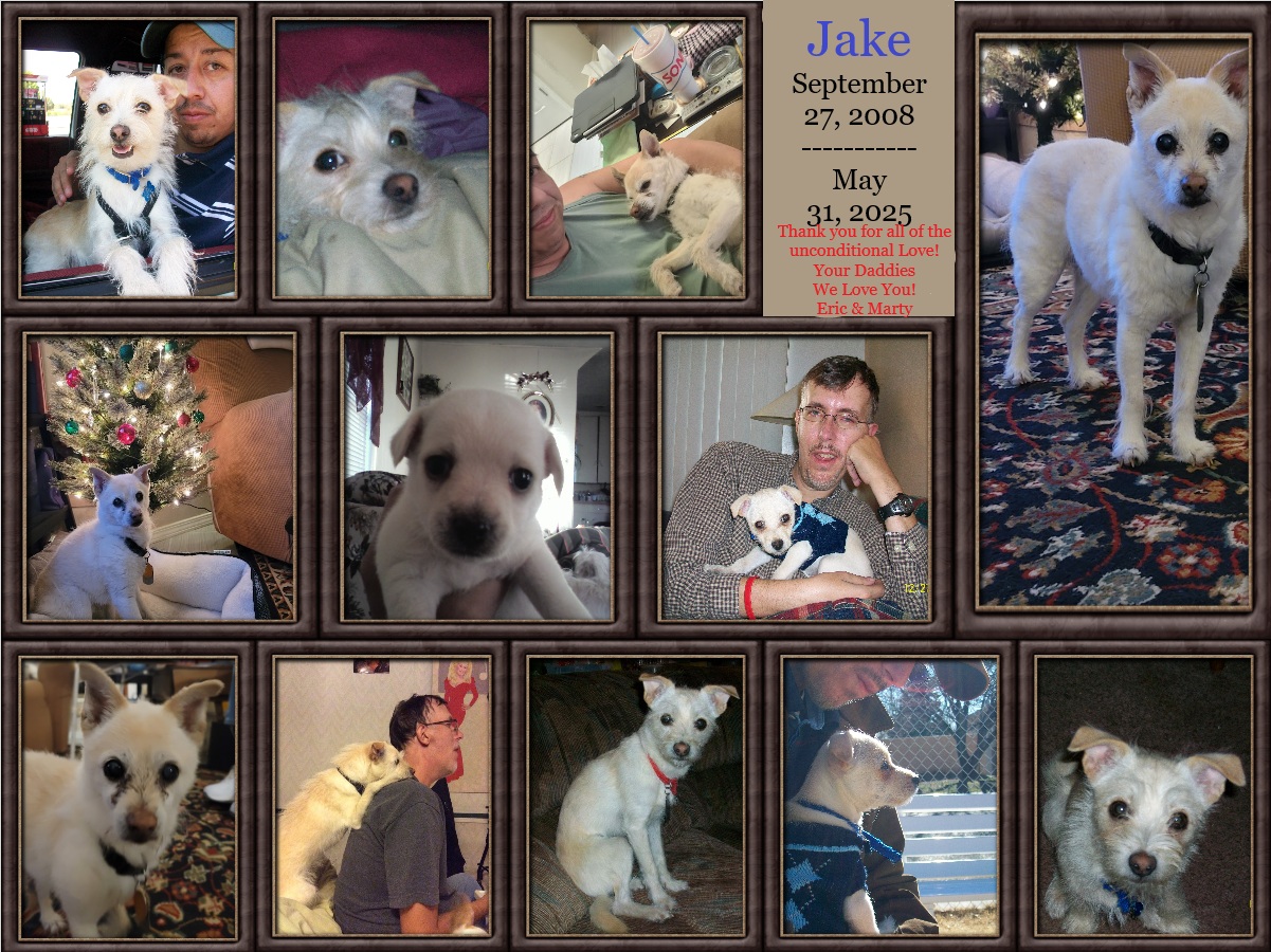 Jake